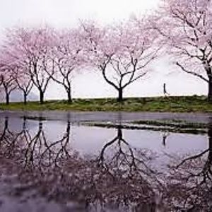 Meet your Posher, Adri